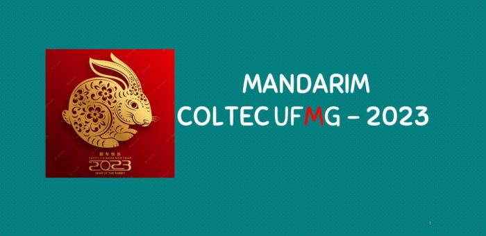 PARCERIA INSTITUTO CONFÚCIO/COLTEC 2024